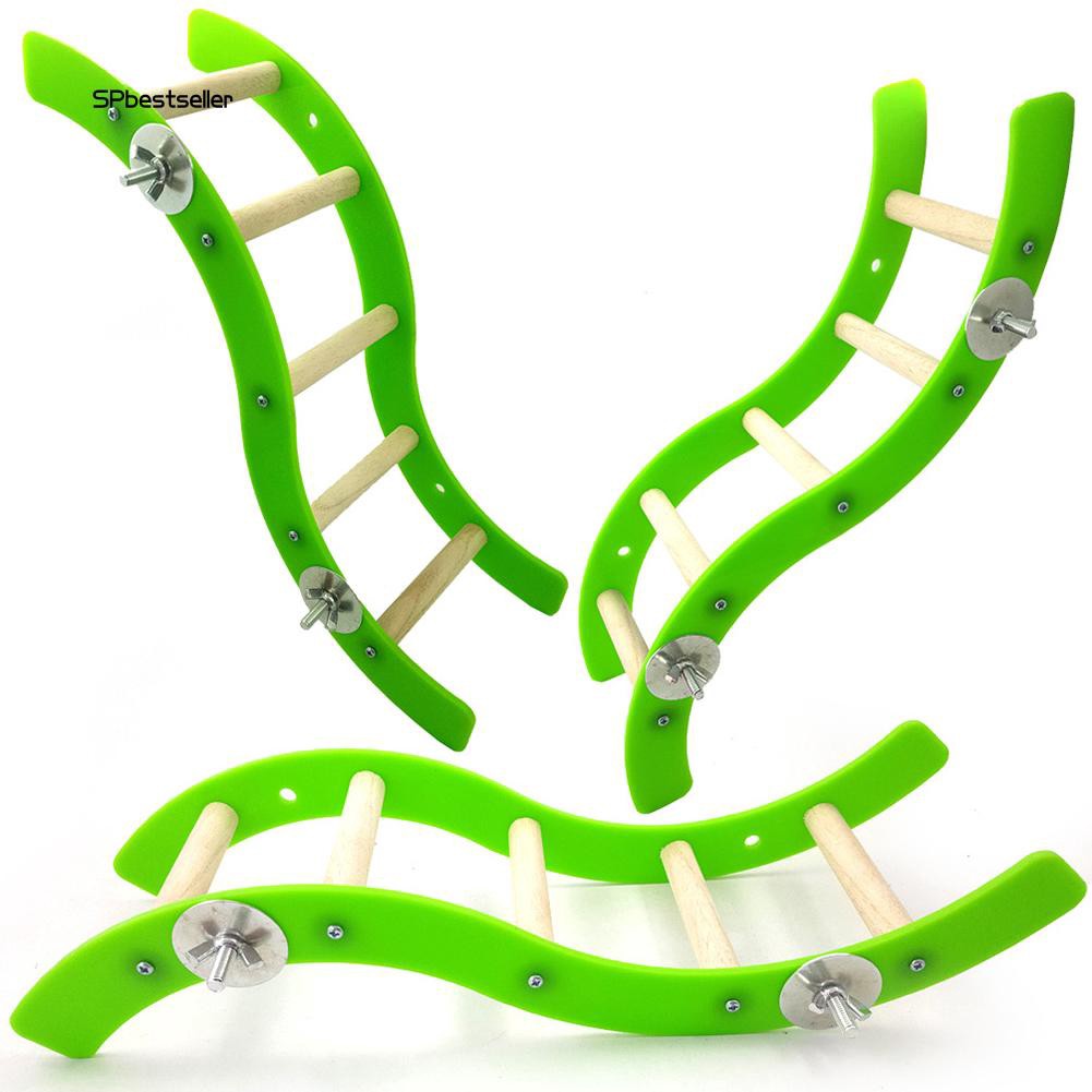 Cầu thang gợn sóng bằng nhựa acrylic gắn lồng vẹt đầy tiện lợi