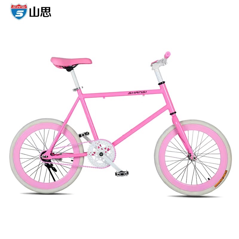 Xe đạp bánh nhỏ 20icnh