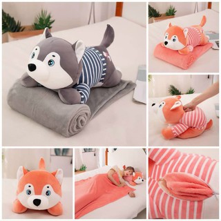 Set gấu bông có chăn 3in1 tiện dụng và xinh xắn hình chó husky