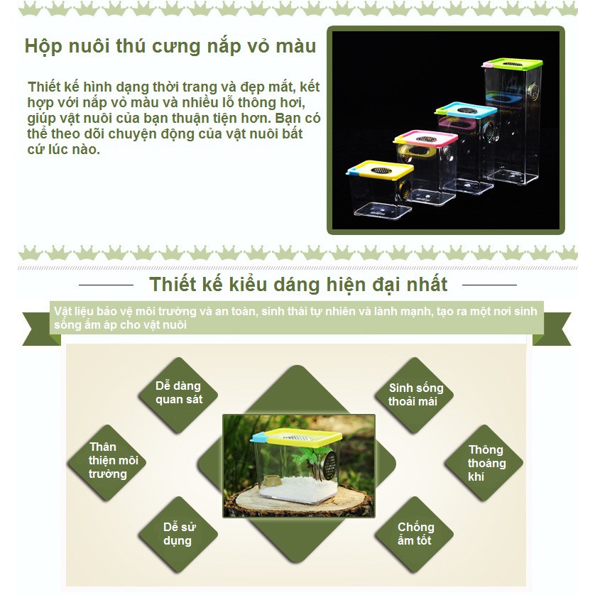 Tank nuôi nhện bọ cạp rết vật nuôi nhỏ