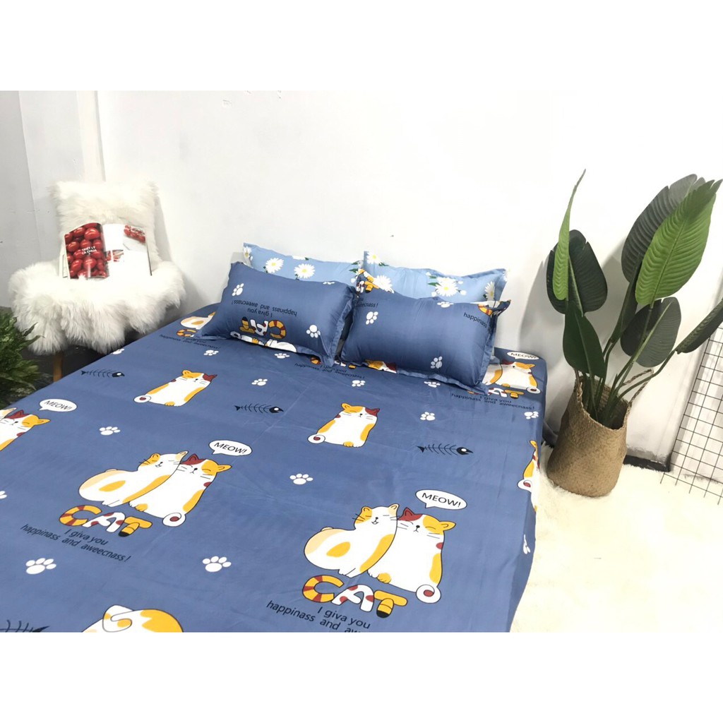 Bộ ga chun và 2 áo gối nằm Emmidecor - mẫu Mèo cát, drap cotton poly