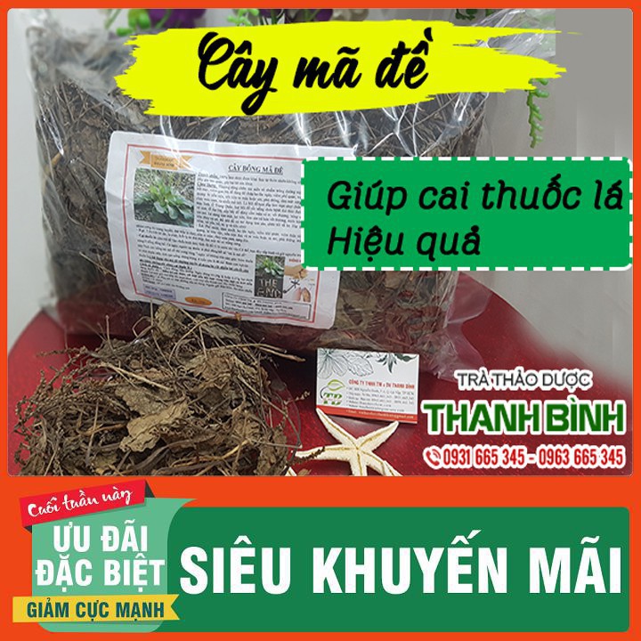 Cây Mã Đề Khô 100g - Thảo Dược Uy Tín - Hàng Công Ty