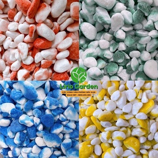 1kg đá sỏi màu trang trí tiểu cảnh , bể thủy sinh