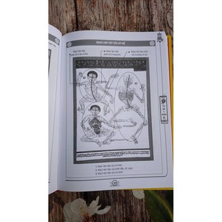 Sách - Combo Trọn Bộ Tứ Bộ Y Điển ( 2 Tập,Lẻ, Tùy Chọn)
