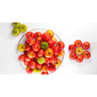 Hạt giống quả Sơ ri - Gói 3 hạt