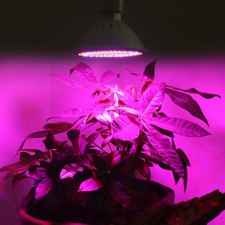 Đèn Led Trồng Cây E27 Smd 24w 200-led