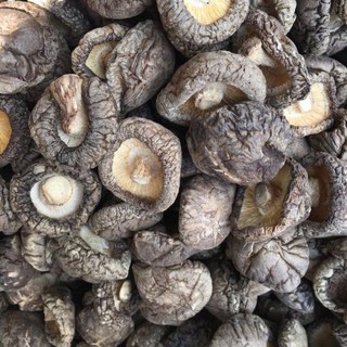 500g NẤM ĐÔNG CÔ KHÔ LOẠI 1