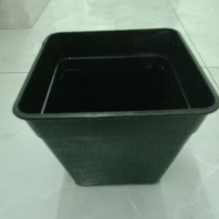 Combo 10 chậu vuông đen 14cm