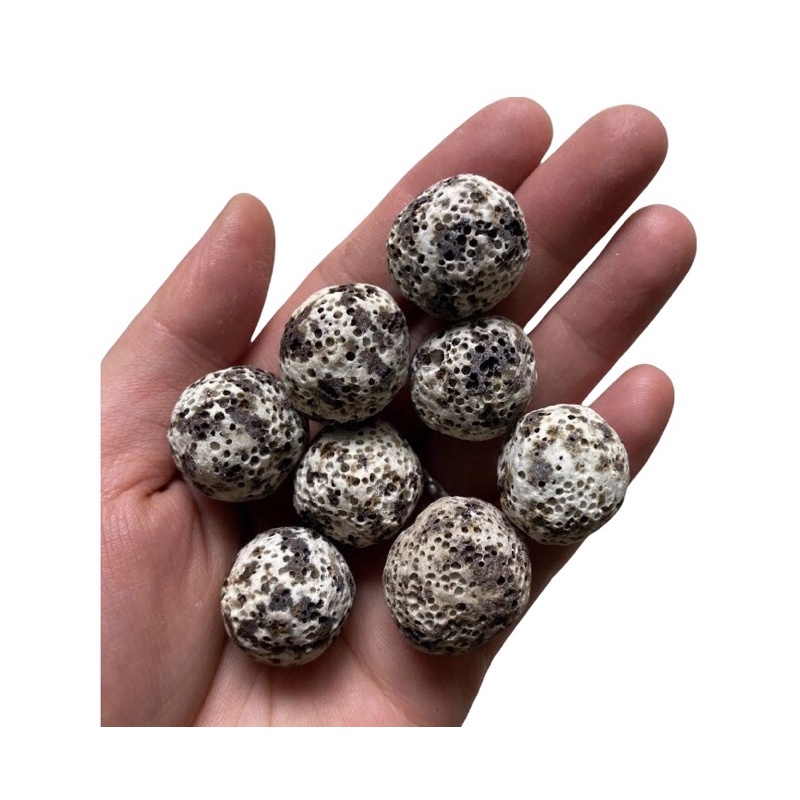 [100gram] Sứ Lọc Bi Muối Tiêu - Vật Liệu Lọc Nước Hồ Cá