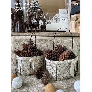 Rổ lưới sắt trang trí kích thước 10 x 20 x 20CM và 20 x 30 x 20CM