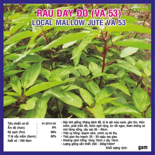 Hạt giống Rau Đay Đỏ (VA.53)