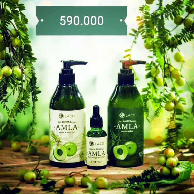 Sản phẩm organic chuyên trị rụng tóc, nấm da đầu, gàu và đặc biệt kích thích mọc tóc hiệu quả sau 1 tháng sdung