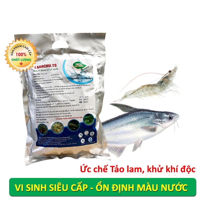 Vi sinh xử lý ao nuôi Tôm, Cá. Ổn định màu nước. Làm sạch đáy ao. Cân bằng pH. Ức chế tảo lam, khử khí độc