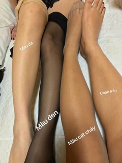Tất Panty Hàn