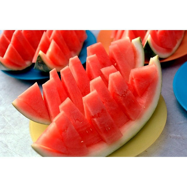 Hạt giống dưa hấu mặt trời không hạt Chia Tai Thái Lan. 15 hạt/gói