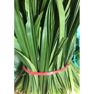 1kg/25k lá dứa. Lá Dứa Thơm(nếp thơm)