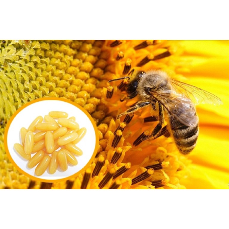 Viên uống sữa ong chúa Royal Collagen Boomerang 120 viên BM02 | BigBuy360 - bigbuy360.vn