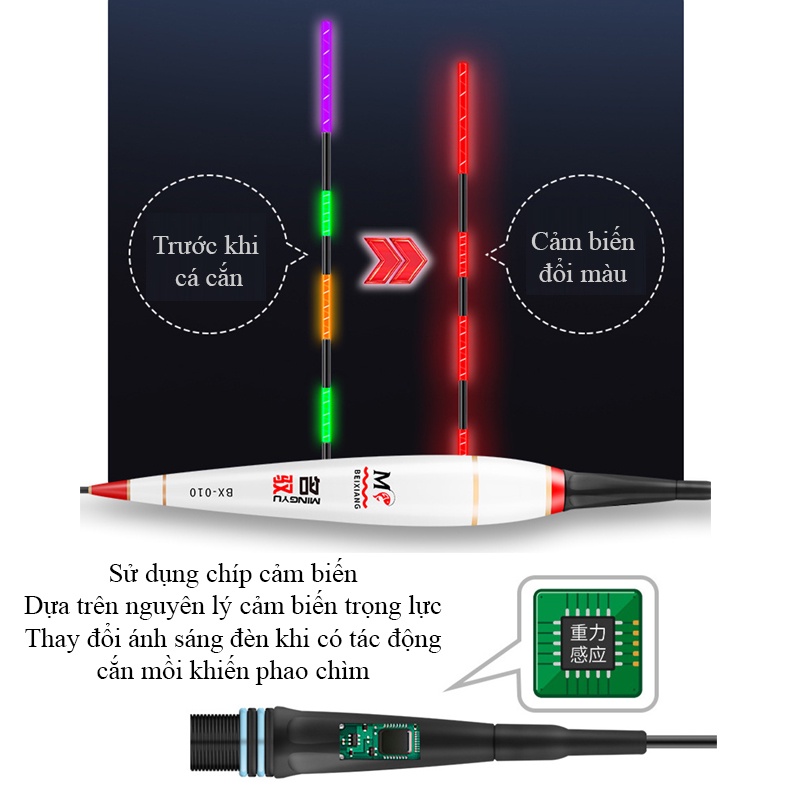 [ 2 Ngọn ] Phao Câu Đêm Thông Minh Đổi Màu BENXIAN MINGYU - Phao Nano Cảm Biến - PP02 [ Tặng Pin ]