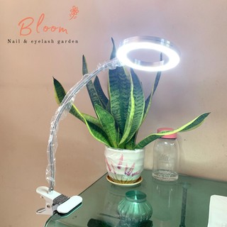 Đèn LED kẹp bàn 2 chế độ sáng nối mi, nail, phun xăm