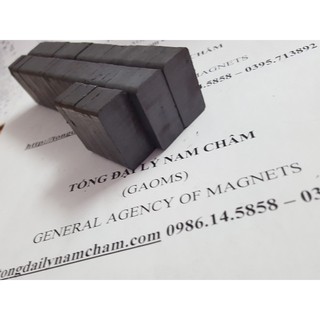 Nam châm Ferrite 30x10x5mm