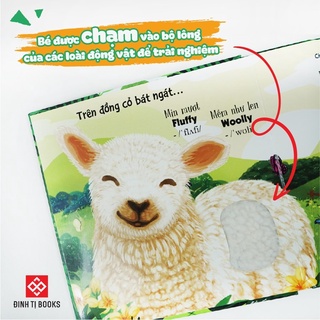 Sách-Combo 2 cuốn - Touch and Feel - Sách Sờ chạm khám phá