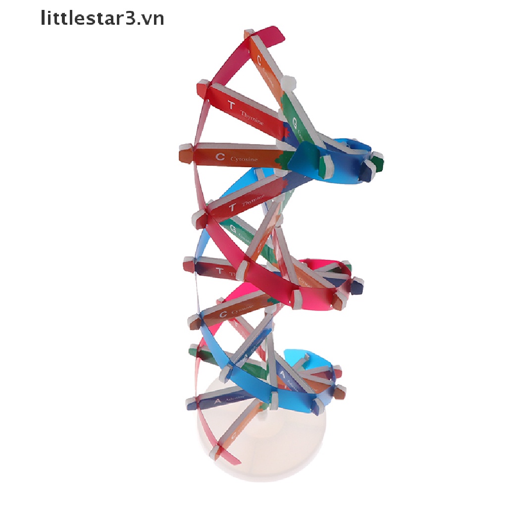 Mô Hình Khoa Học Dna Genetic