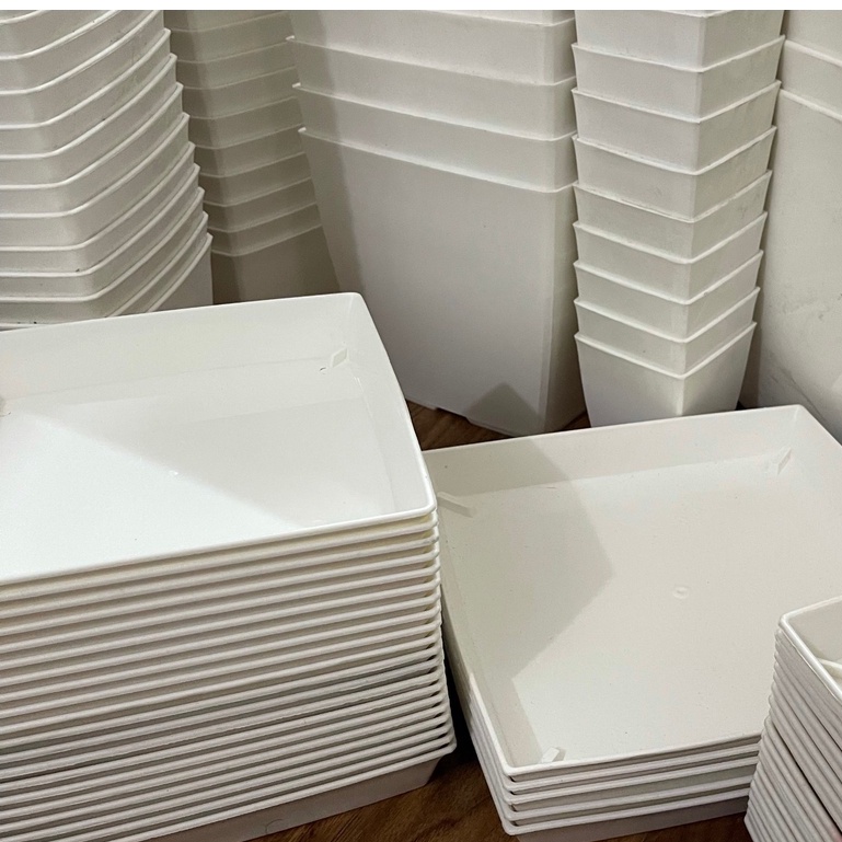 Chậu nhựa vuông trồng cây văn phòng đủ size từ 9 - 25cm kèm đĩa