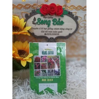 Hạt giống hoa hồng leo nhiều màu RD 843 Rạng Đông gói 10 hạt