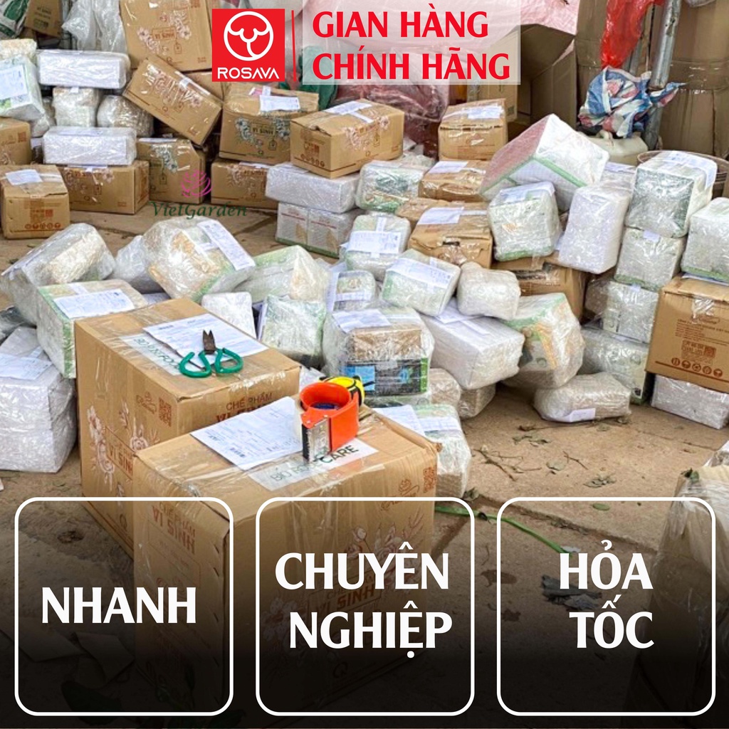 Phân bón lá đạm cá hữu cơ đậm đặc ROSAVA cho cây cảnh, hoa hồng, lan, giấy và sen đá