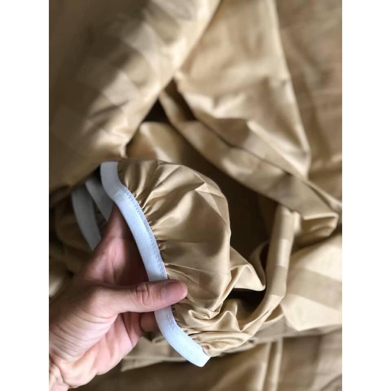 Bộ chăn ga gối cotton kẻ sọc 3F cao cấp chuyên dòng khách sạn( hỗ trợ bo chun mọi size giường)