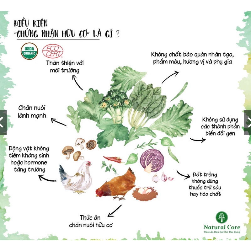 HẠT NATURAL CORE ECO C1 KITTEN cho mèo con 800gr (chính hãng) HẠT ĐA ĐẠM CHO MÈO