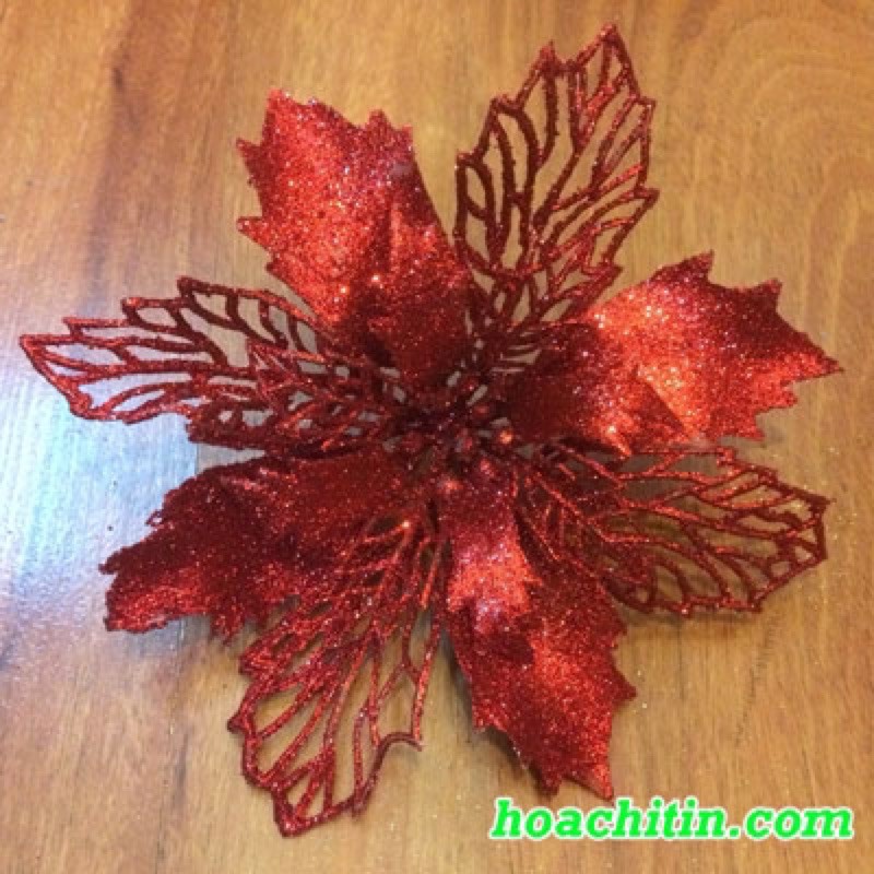 Hoa Trạng Nguyên Kim Tuyến trang trí noel giáng sinh