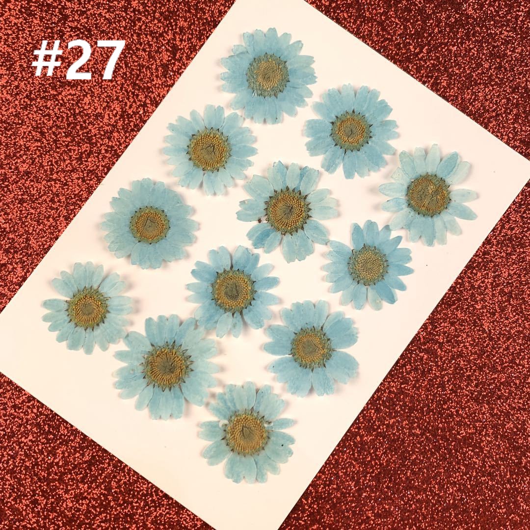 HANDMADE Miếng Dán Hoa Cúc Trắng Trang Trí Xinh Xắn | BigBuy360 - bigbuy360.vn