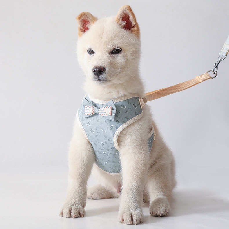 Áo Vest Đính Nơ Chuyên Dùng Dắt Thú Cưng Đi Dạo