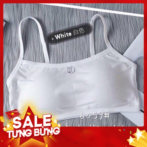 -HÀNG NHẬP KHẨU  Áo Bra Thỏ cotton Học Sinh Có Miếng Đệm Liên hệ mua hàng 084.209.1989