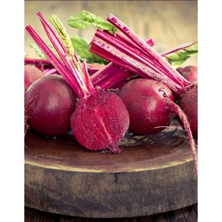 Hạt giống Củ dền đỏ