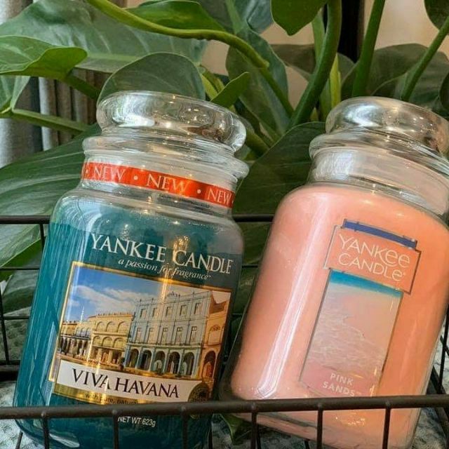 [Nhiều mùi hot] Nến thơm Yankee candle size L 623g