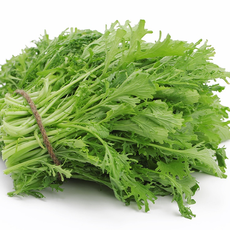Hạt Giống Cải Bẹ Xanh Ngọt Đuôi Phụng RADO 133 Gói 20gram