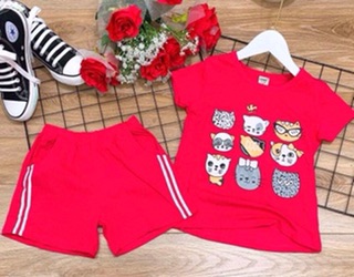 Bộ thun cotton bé gái size 8-20kg