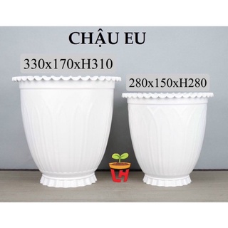 Chậu nhựa trồng cây , nhựa trắng dày cao cấp