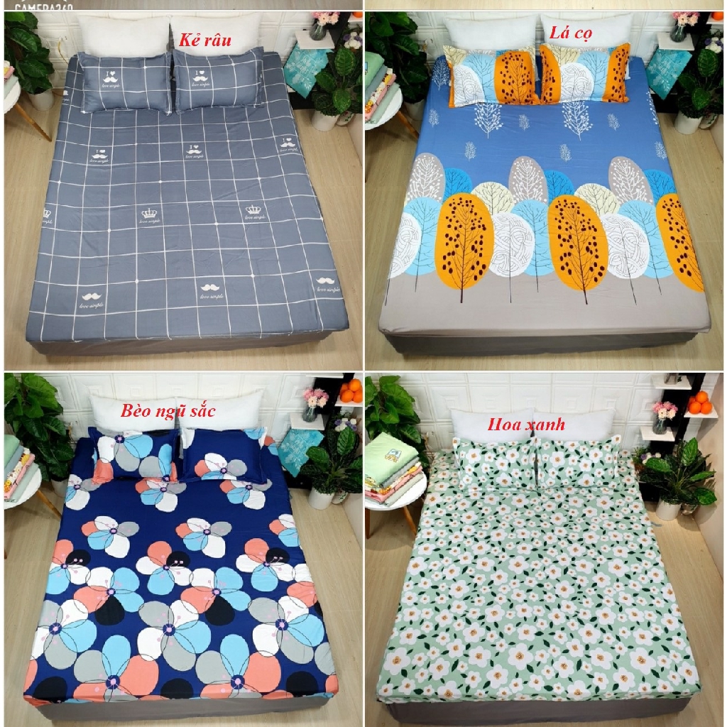 Bộ ga gối cotton poly, được chọn mẫu, gồm 1 ga chun và 2 áo gối