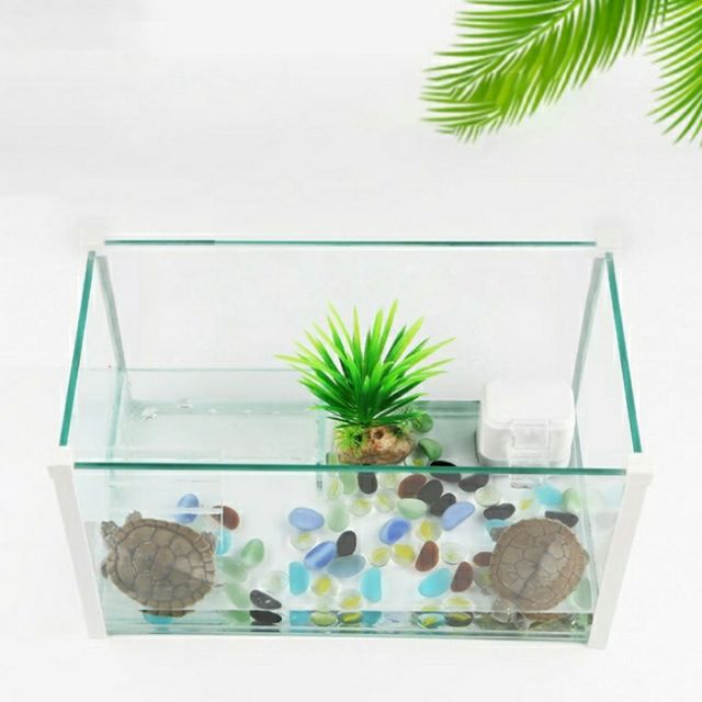 BƠM LỌC BỂ RÙA MINI 2W 200L-H NƯỚC THẤP NHẤT 2CM EN02