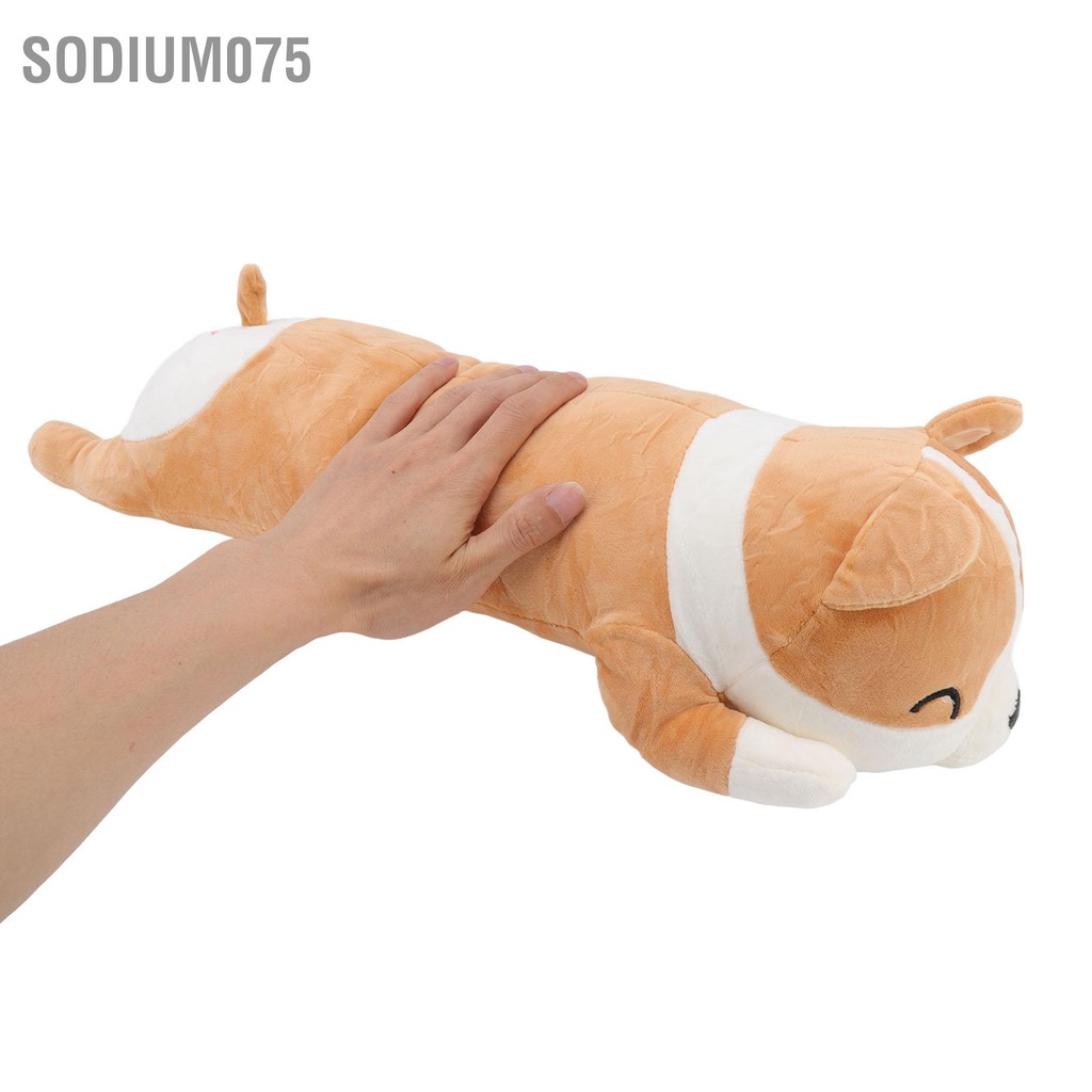 Có thể bán buôn Con chó Động vật sang trọng Gối dễ thương Đàn hồi tốt kết cấu giảm căng thẳng Đồ chơi đệm mềm Sodium075 Hàng giao ngay