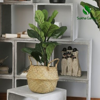 Giỏ cói đựng cây, trang trí Vintage