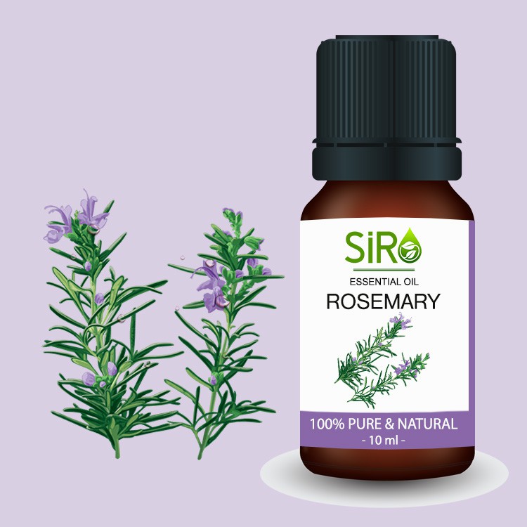 TINH DẦU HƯƠNG THẢO ROSEMARY