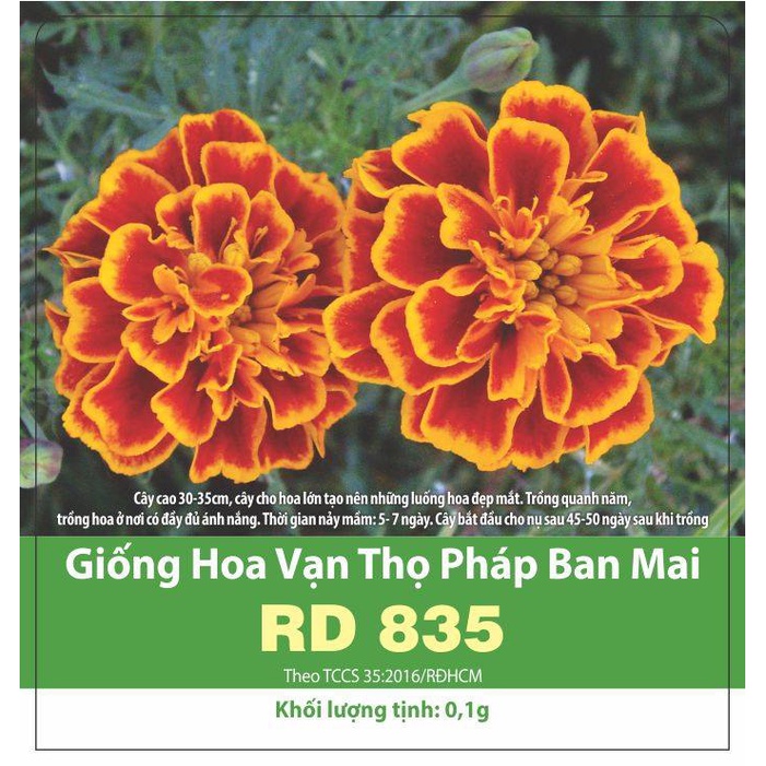 Hạt giống hoa vạn thọ Pháp ban mai RD835, đóng gói 0.1gr