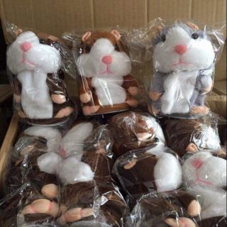 Chuột hamster biết nhại tiếng người