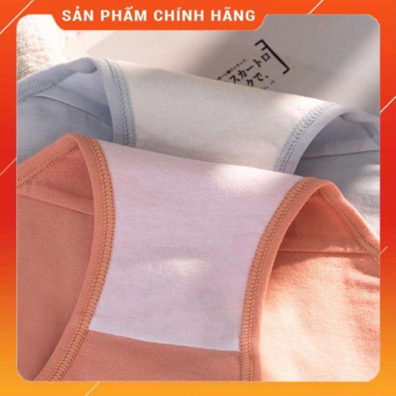 Quần Lót Nữ Cotton Cạp Su Chữ Kháng Khuẩn Cao Cấp 8858