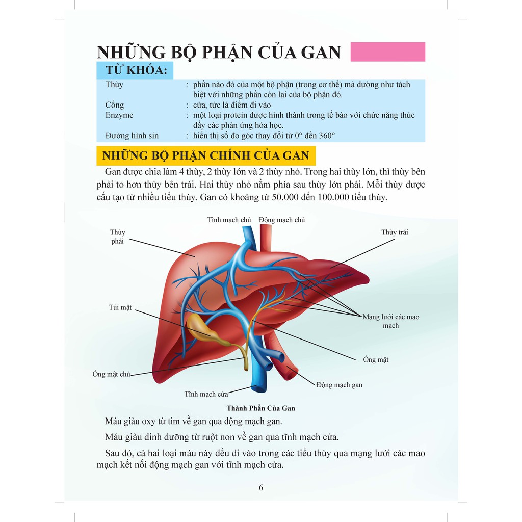 Sách - Cơ Thể Của Tôi Hoạt Động Như Thế Nào: Gan