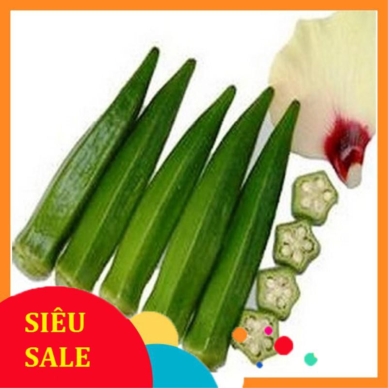 20g Hạt giống Đậu Bắp Cao Sản (tặng gói Kích nẩy mầm và Hướng dẫn)